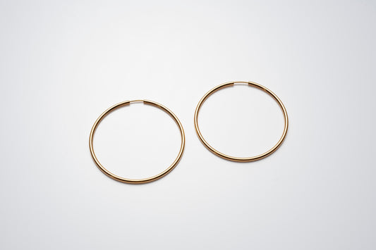 Silver Hoops